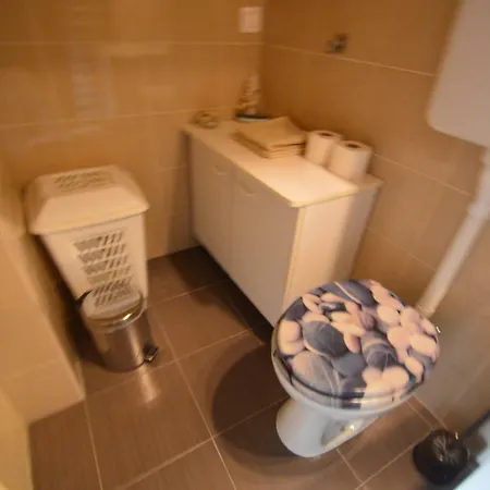 Apartment Visnja